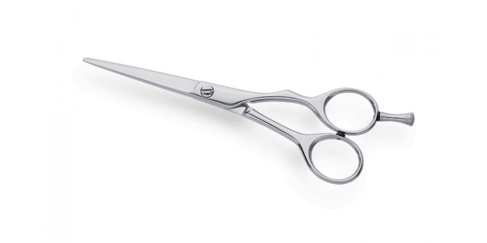 Professional Hair Cutting Scissors 